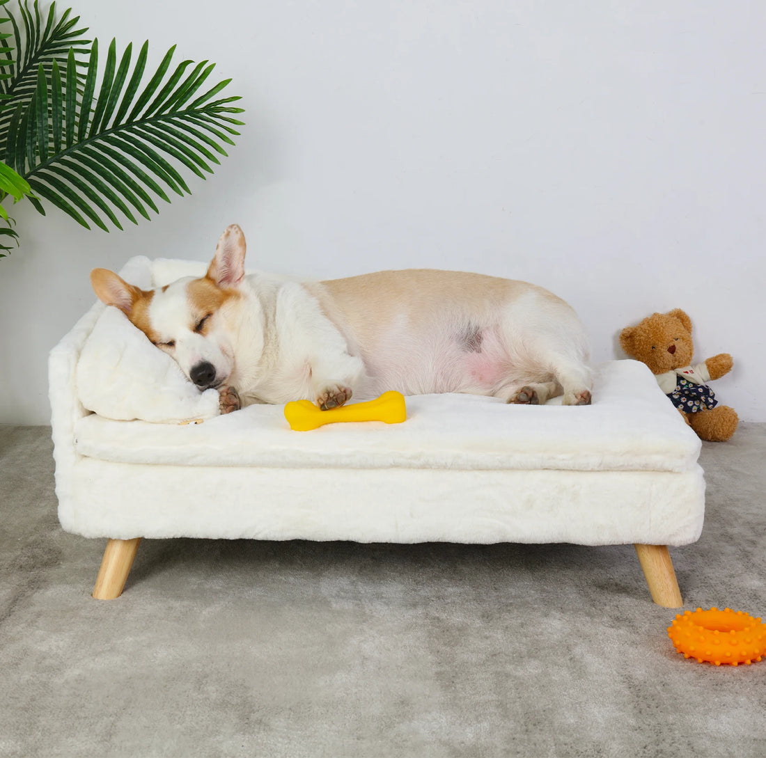 Happy Paw Pals™ Cotton Pet Sofa Bed