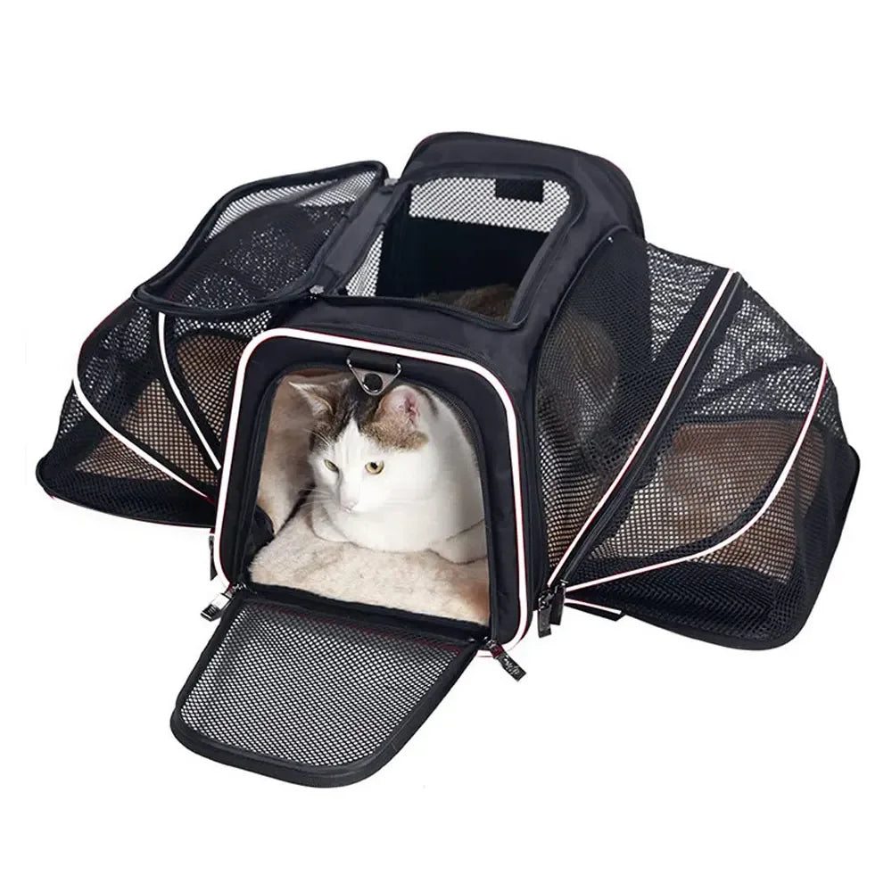 Happy Paw Pals™ Portable Pet Carrier Bag